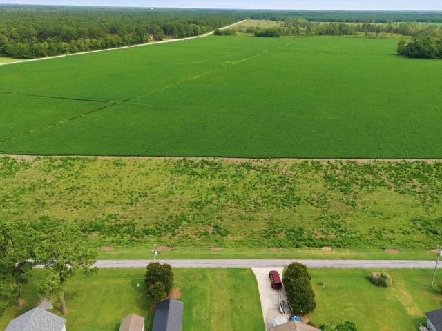 Land for sale in Arapahoe, North Carolina
