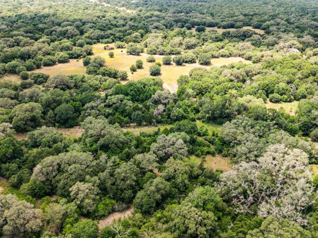 Land for sale in Weimar, Texas
