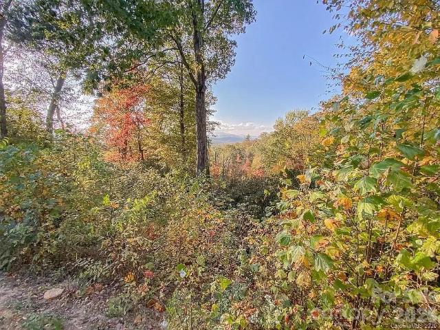 Land for sale in Etowah, North Carolina