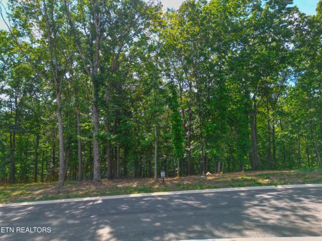 Land for sale in Loudon, East Tennessee