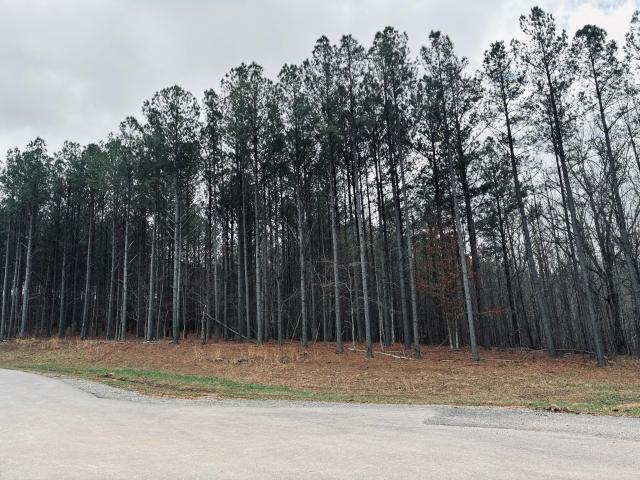 Land for sale in Tennessee
