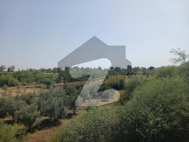Land for sale in Chakwal, Islamabad Capital Territory