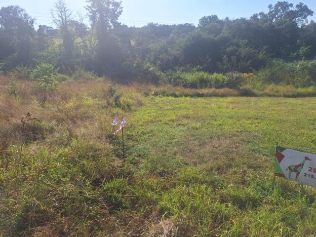 Land for sale in Ehlanzeni, Mpumalanga