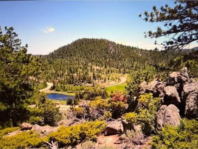 Land for sale in Red Feather Lakes, Colorado