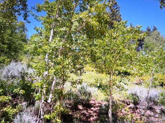 Land for sale in Red Feather Lakes, Colorado