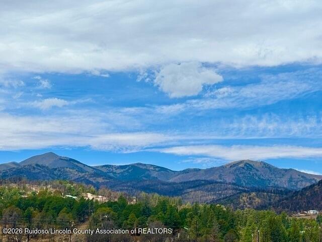 Land for sale in Alto, New Mexico