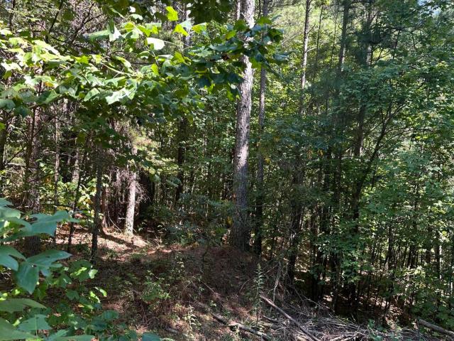 Land for sale in Tennessee