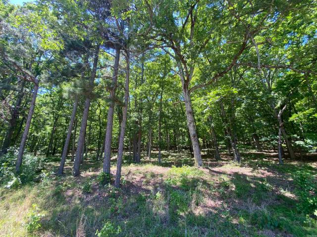 Land for sale in Ark
