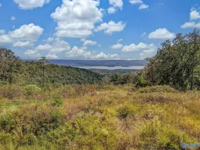 House for rent in Scottsboro, Alabama