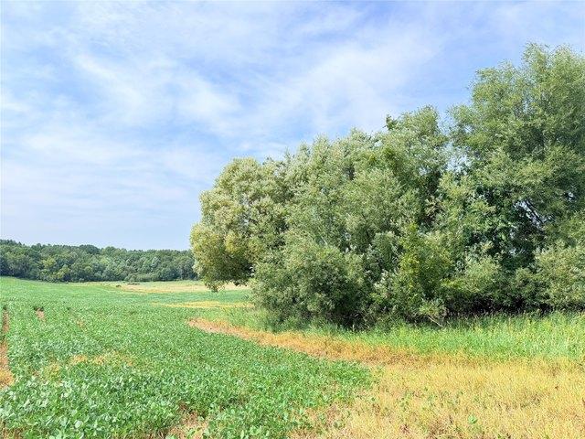 Land for sale in Saint Croix Falls, Wisconsin