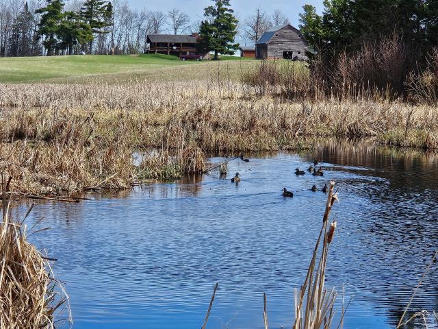Farm for sale in Bagley, Minnesota