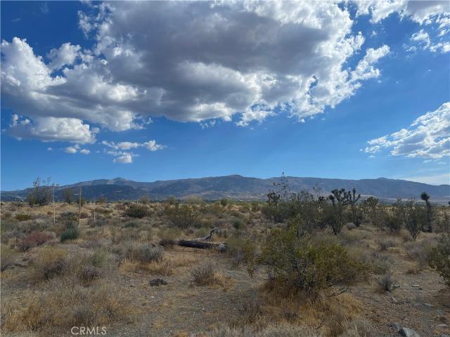 Land for sale in Pinon Hills, California