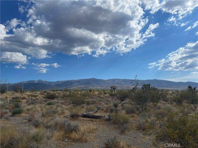 Land for sale in Pinon Hills, California