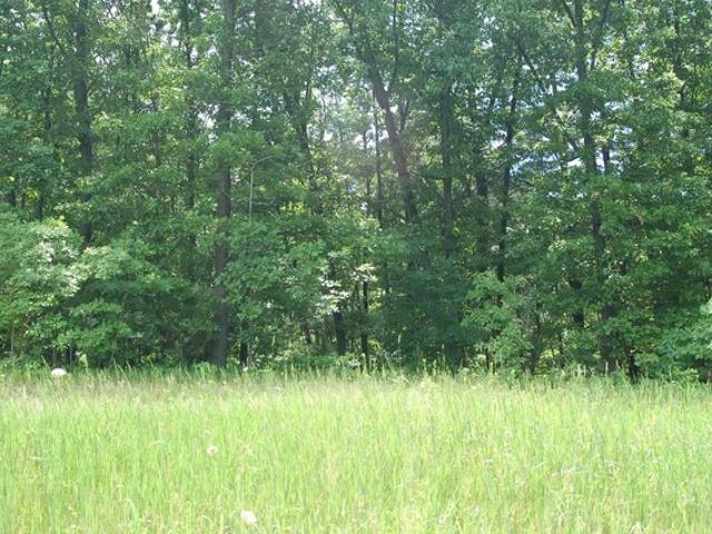 Land for sale in South Bend, Indiana