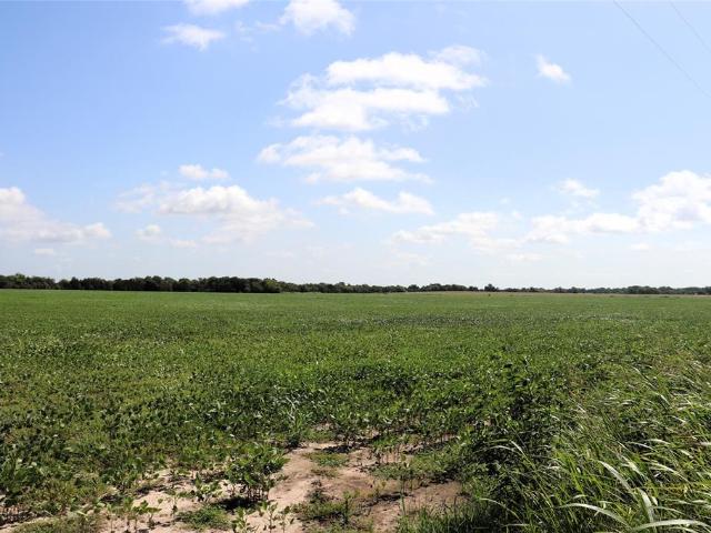 Land for sale in Delta, Texas