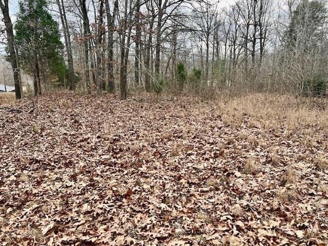 Land for sale in Hanson, Kentucky