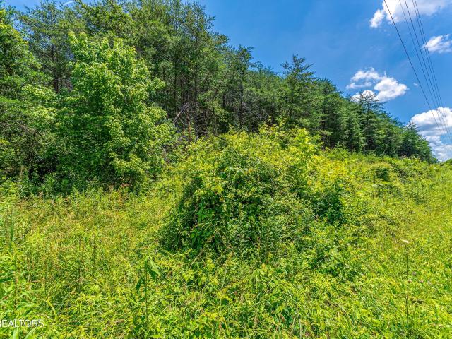 Land for sale in Tennessee