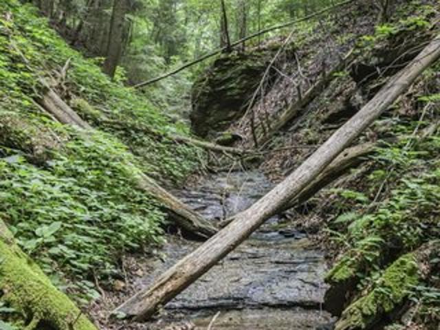 Land for sale in South Bloomingville, Ohio