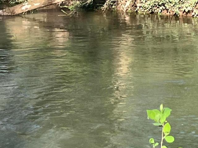 Land for sale in Tennessee