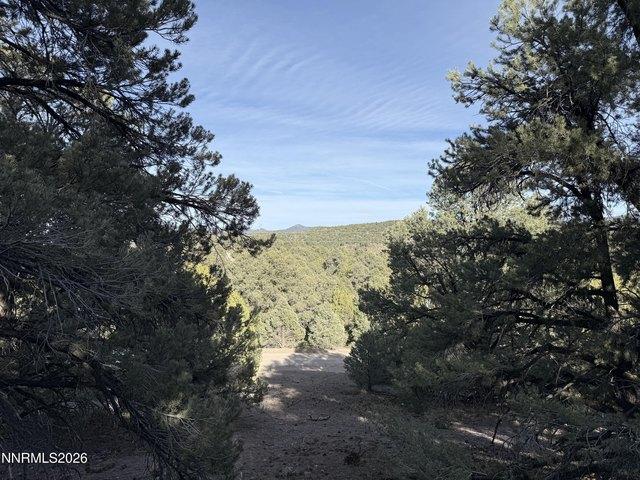 Land for sale in Reno, Nevada
