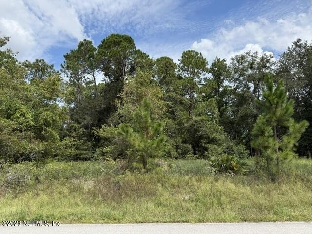Land for sale in Palatka, Putnam County