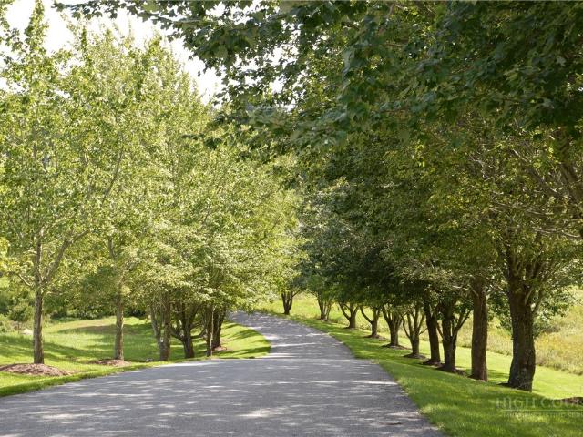 Townhouse for sale in Alleghany, North Carolina