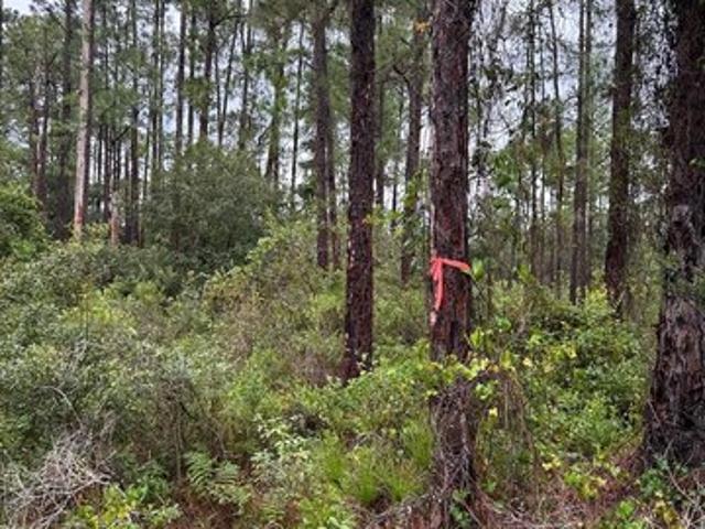 Land for sale in Indian Lake Estates, Polk County