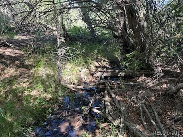 Land for sale in Mosca