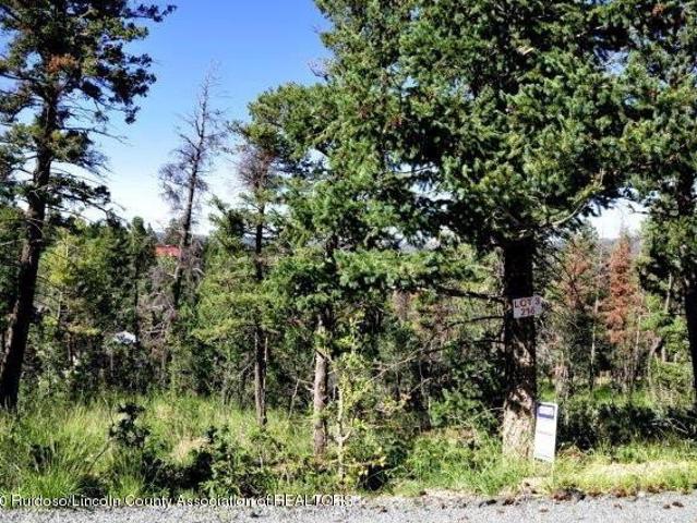 Land for sale in Alto, New Mexico