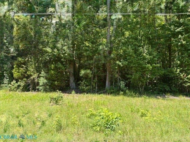 Land for sale in Virginia