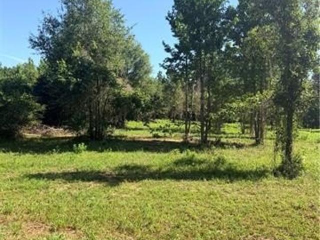 Land for sale in Bentley, Louisiana