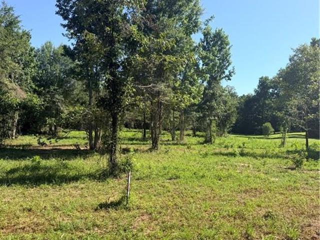 Land for sale in Pollock, Grant Parish