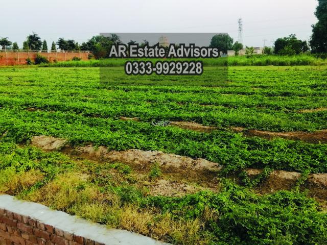 Land for sale in Faisalabad