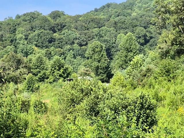 Land for sale in Tennessee