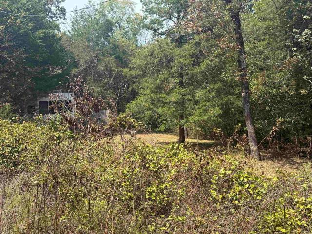 Land for sale in Mena, Polk County