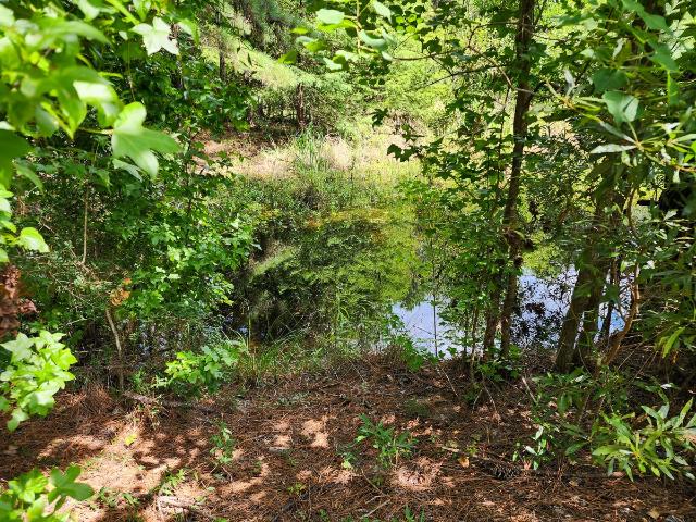 Farm for sale in Newton, Texas