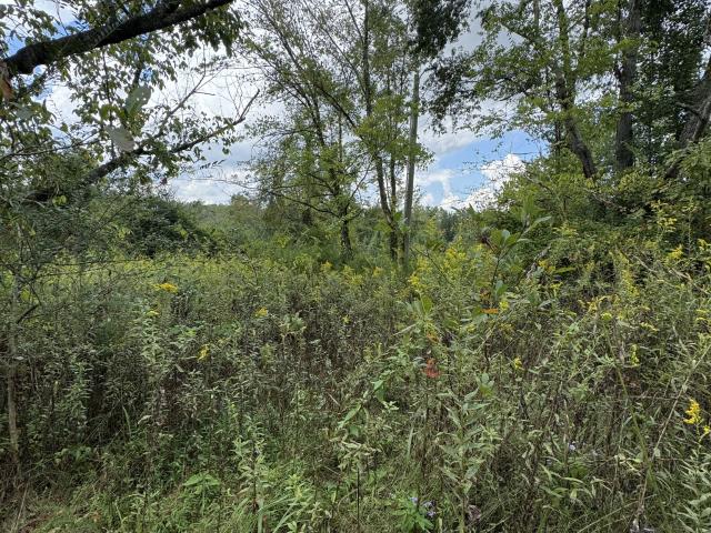Land for sale in Tennessee