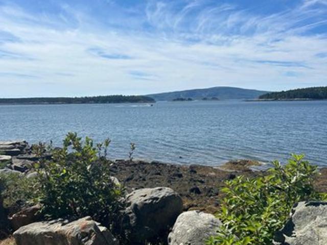 Land for sale in Steuben, Maine