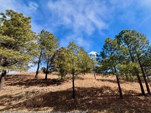 Land for sale in Alto, New Mexico