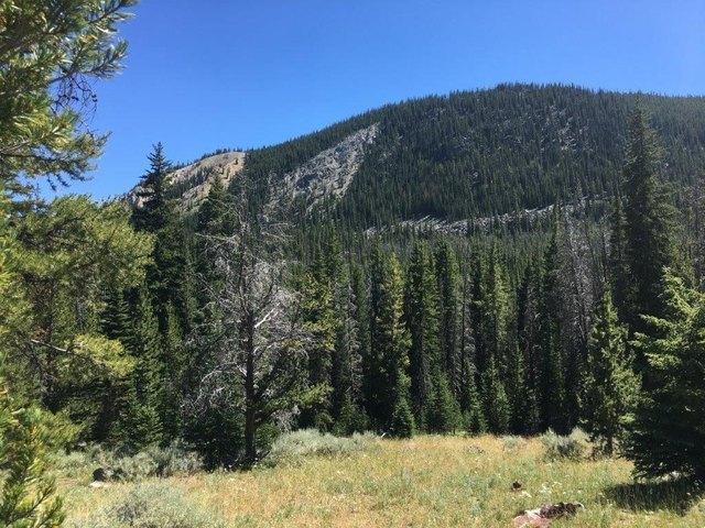 Land for sale in Dillon, Montana