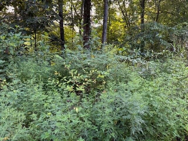 Farm for sale in Tennessee