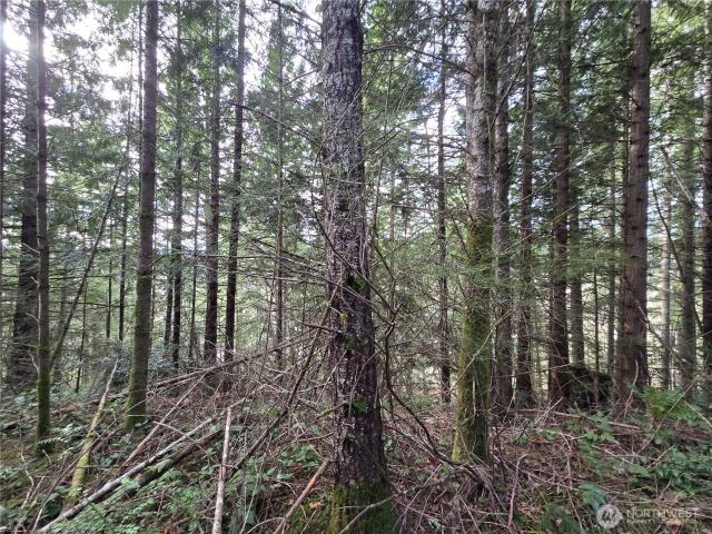 Land for sale in Poulsbo, Washington