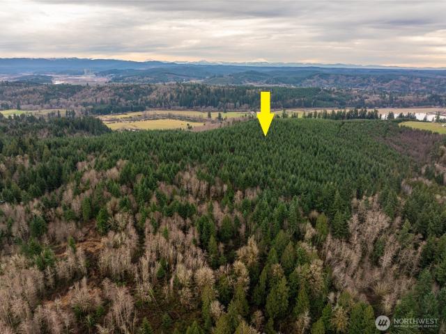 Land for sale in Thurston, Washington