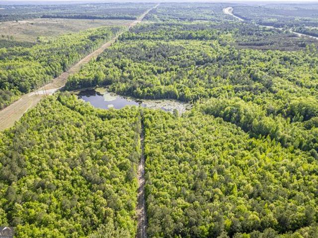Land for sale in Wilkinson, Georgia