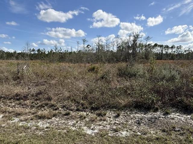 Land for sale in Altha, Florida