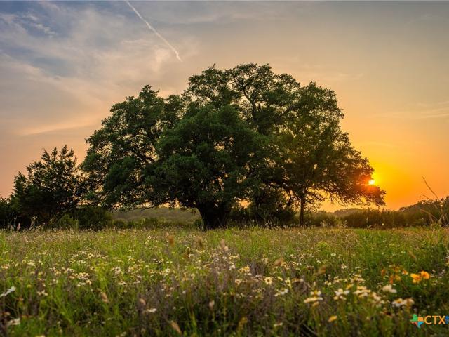 Farm for sale in Hamilton, Texas