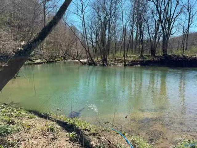 House for sale in Scottsboro