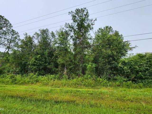 Land for sale in Middleburg, Florida