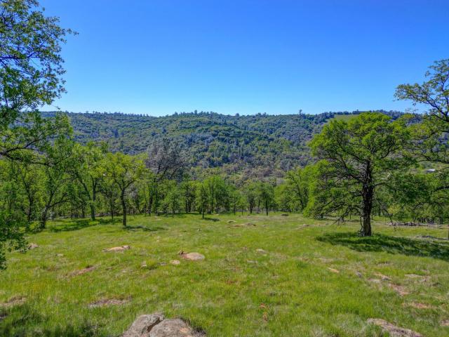 Land for sale in Angels Camp, California
