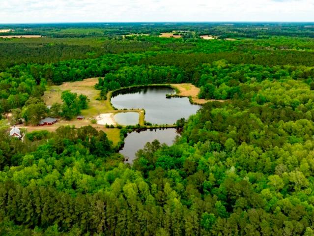 Land for sale in Statesboro, Georgia